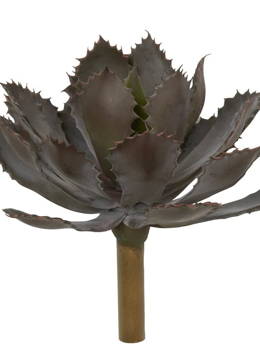 Sukkulent, mega. Mål 28 cm.