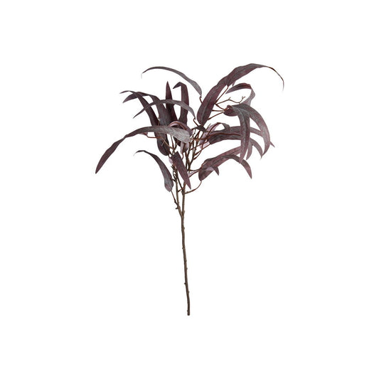 Eukalyptus stilk