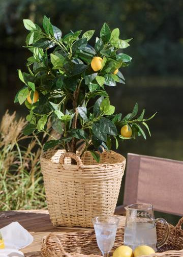 Vietnamkurv bambus.50 cm.