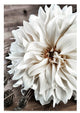 Big White Flower, Poster (70x100) - Fås også i mindre størrelse.