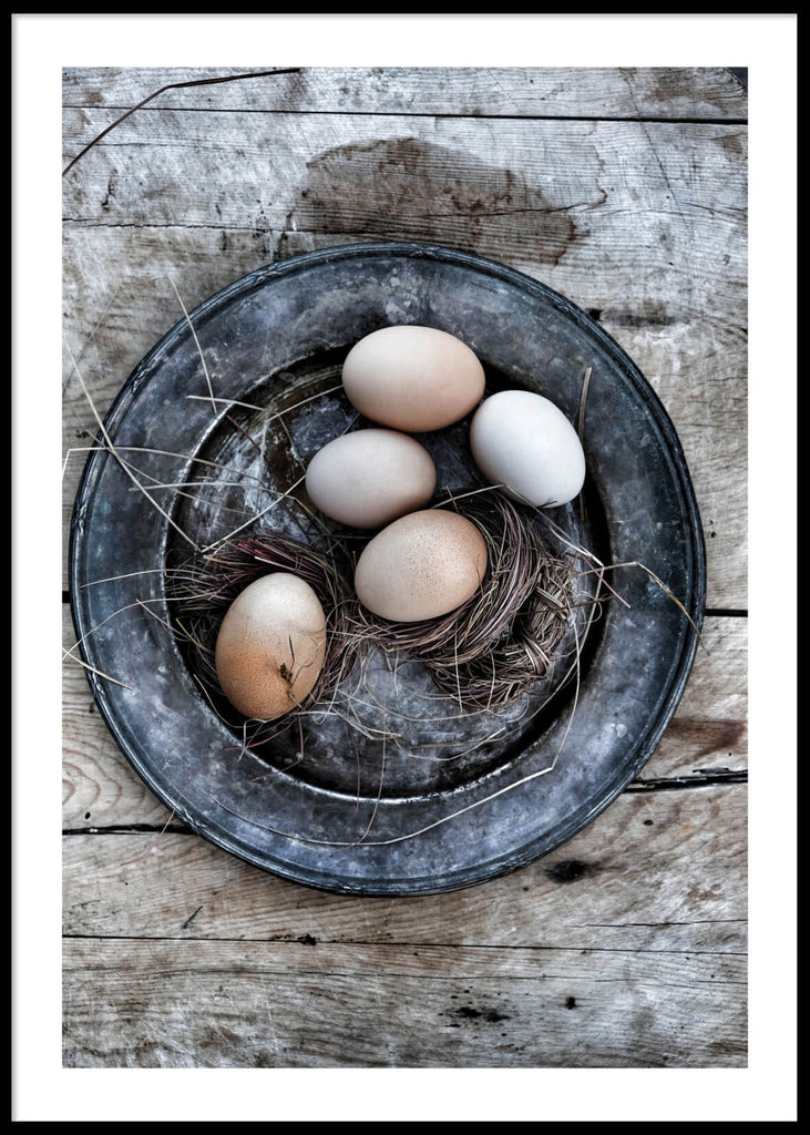 Egg, Poster (50x70)