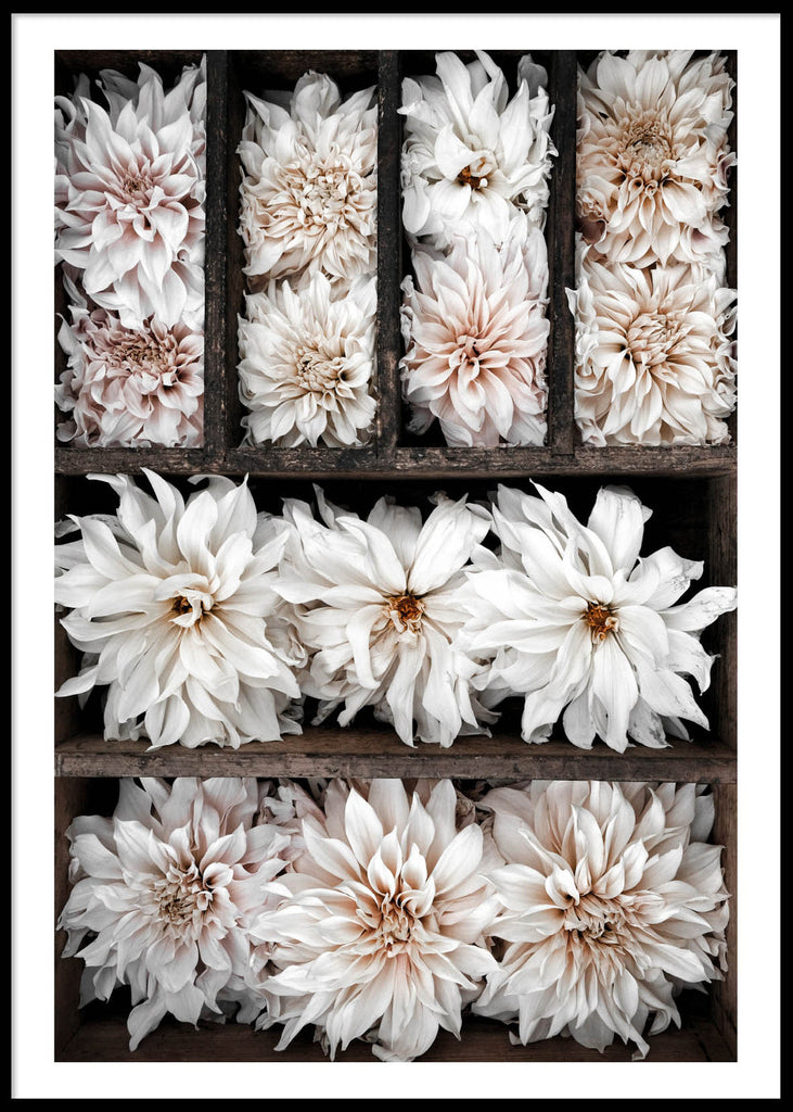Flower Box, Poster (50x70) - Fås også i større størrelse