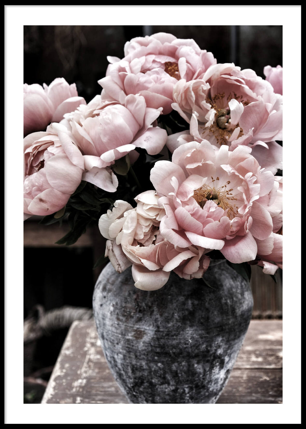 Light Pink Flowers, Poster (50x70)